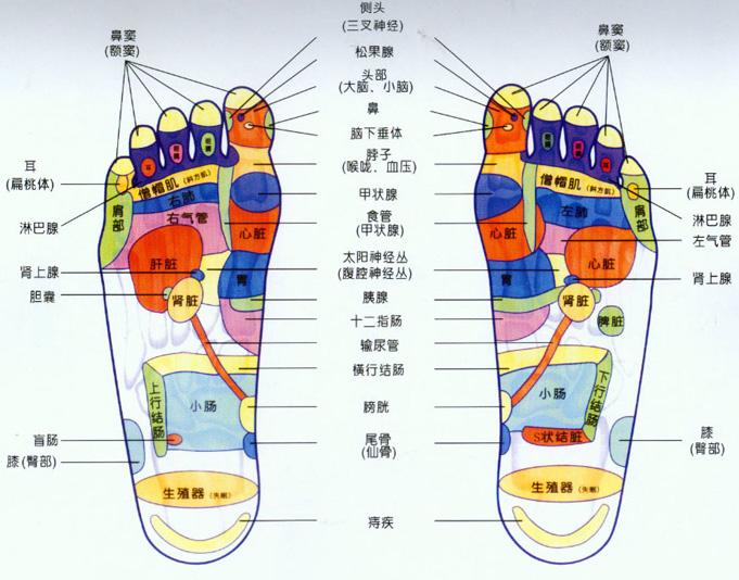 石家莊空氣能熱泵采暖人體感覺(jué)舒適0311-83016558 石家莊空氣能熱泵采暖人體感覺(jué)舒適0311-83016558